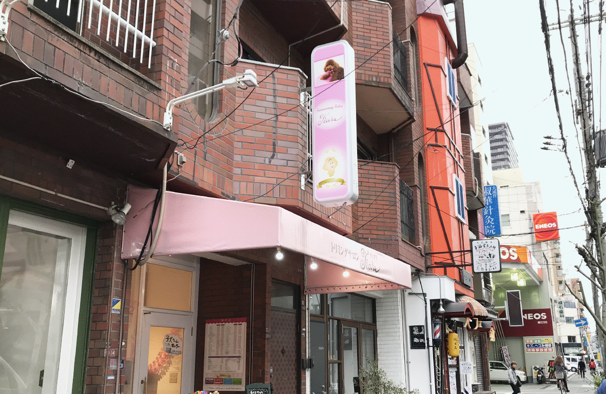 最近のお仕事